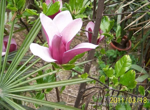 100_2259.jpg