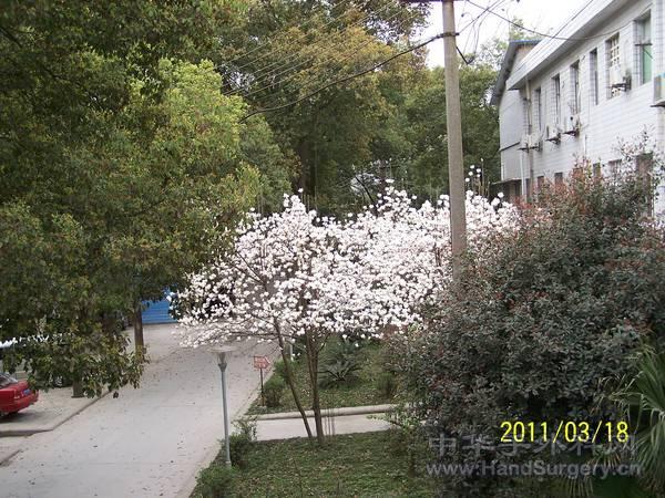 100_2234.JPG