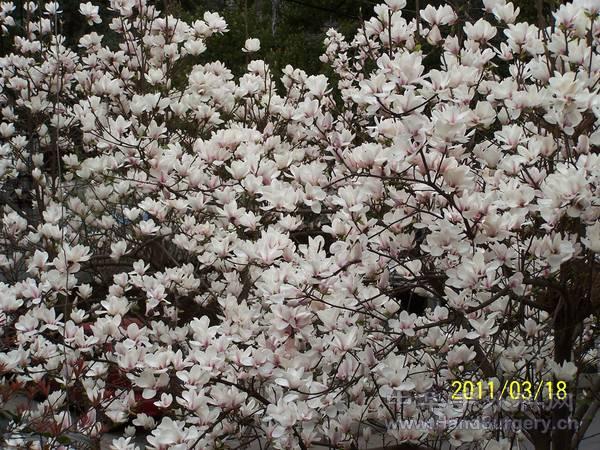 100_2244.JPG