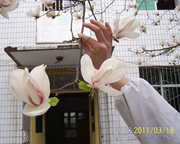 100_2247.jpg