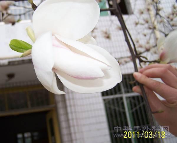 100_2250.jpg