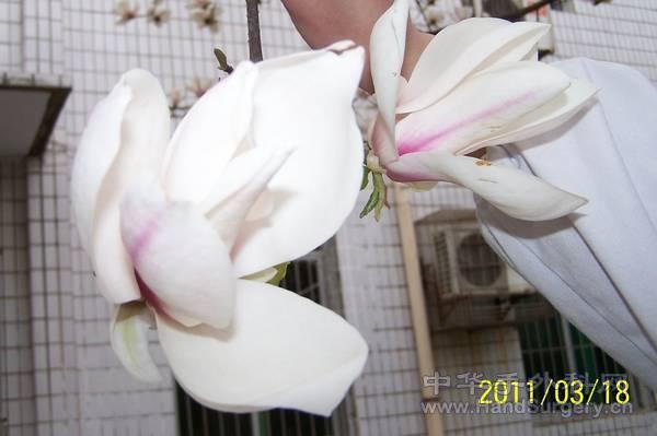 100_2251.jpg