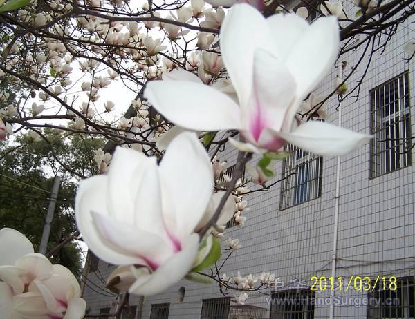 100_2253.jpg