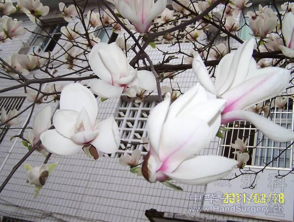 100_2254.jpg