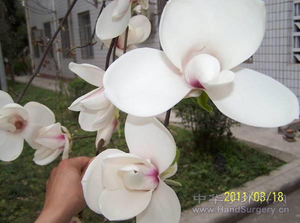 100_2255.jpg