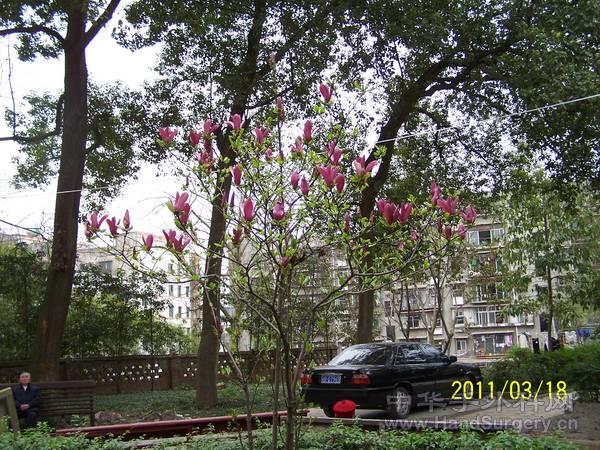 100_2257.JPG