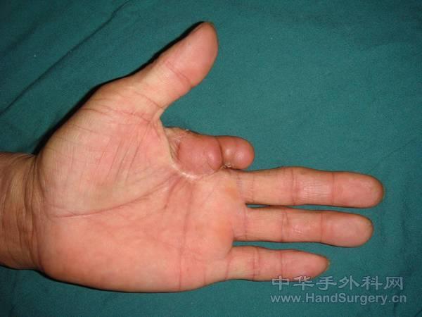 图片2.jpg