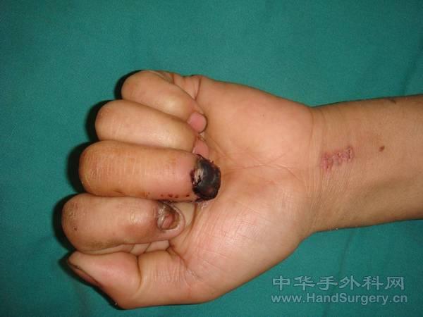 图片8.jpg