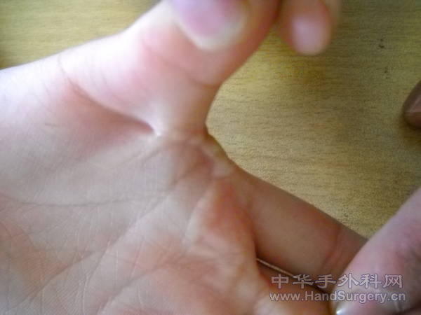 DSCN0734.jpg