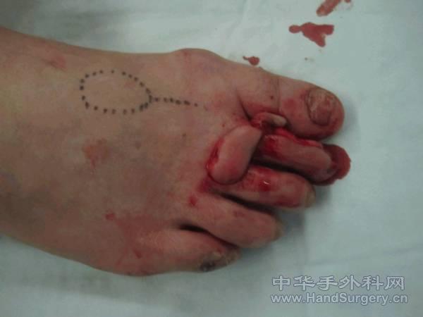 图片5.gif