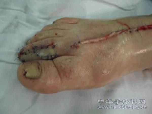 图片6.gif