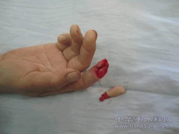 图片7.gif