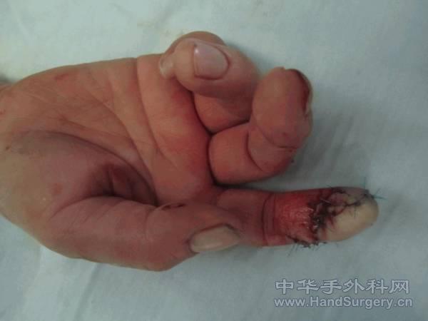 图片9.gif