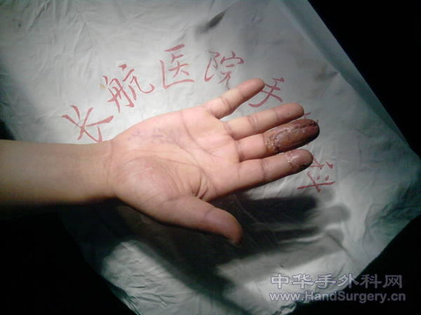 P300910_08.34.jpg