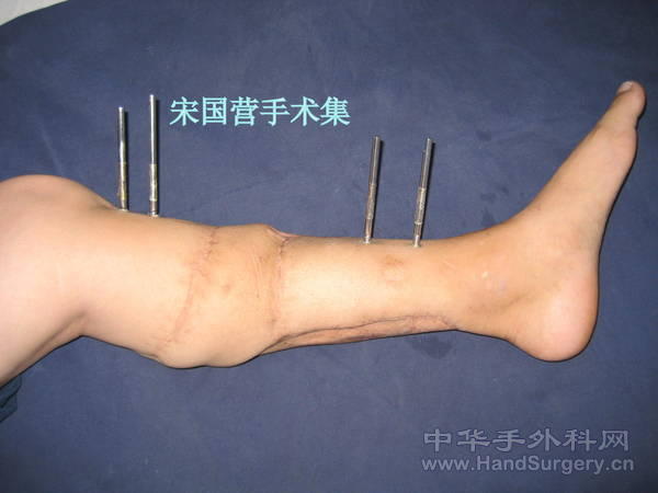 照片 013.jpg
