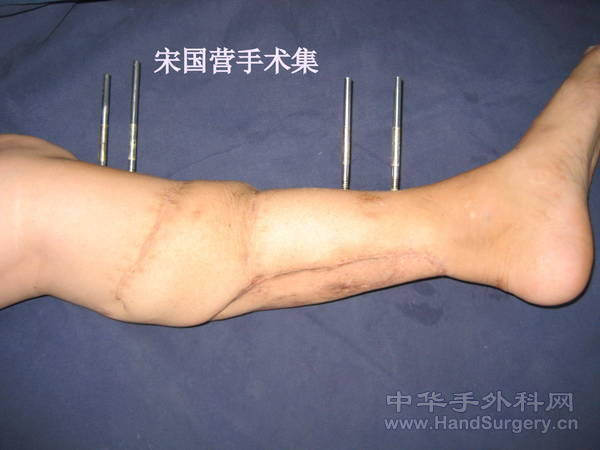 照片 016.jpg