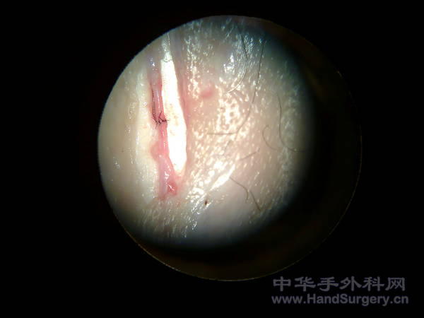 照片0098.jpg