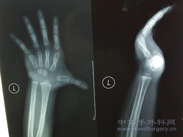 IMAG0132.jpg