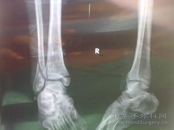 20101203926.jpg