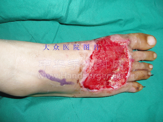 赵禄华2.jpg 拷贝.jpg