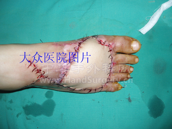 赵禄华6 拷贝.jpg