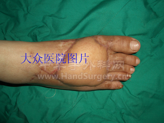 CIMG1400 拷贝.jpg