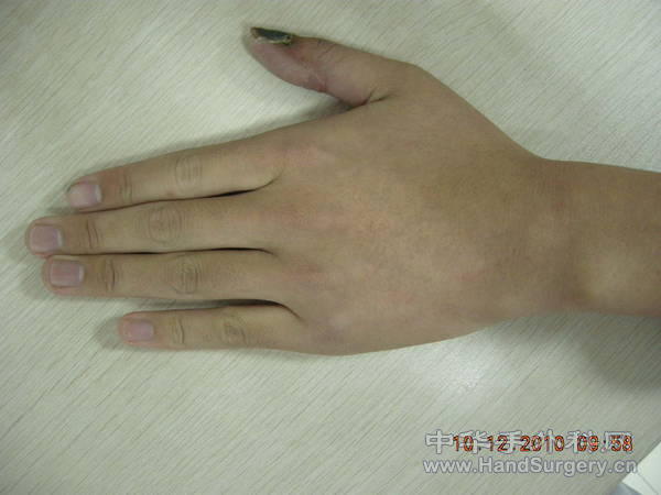 DSCN6052.JPG