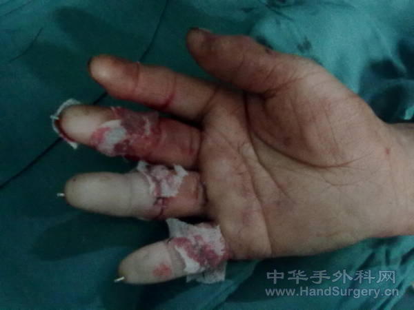 20110311270.jpg