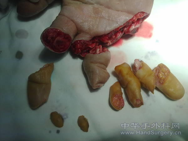 20110324062.jpg