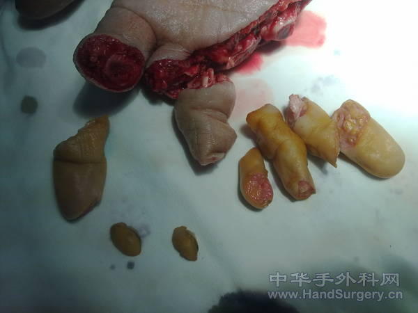 20110324063.jpg