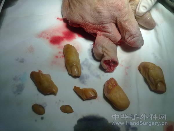 20110324064.jpg