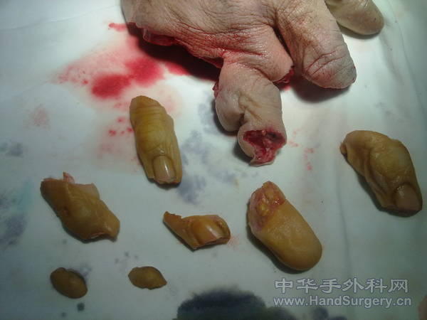 20110324065.jpg