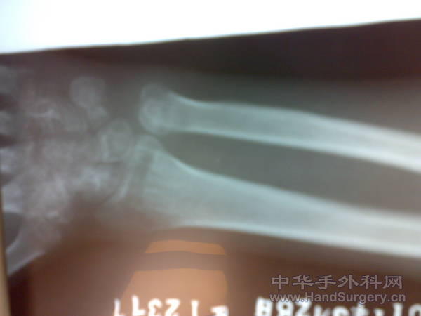 20110328248.jpg