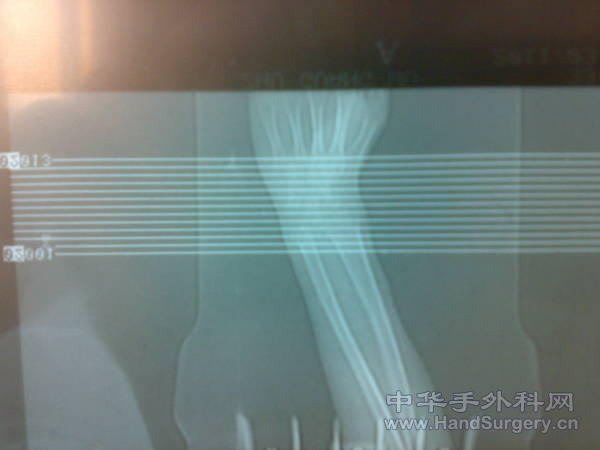 20110328253.jpg