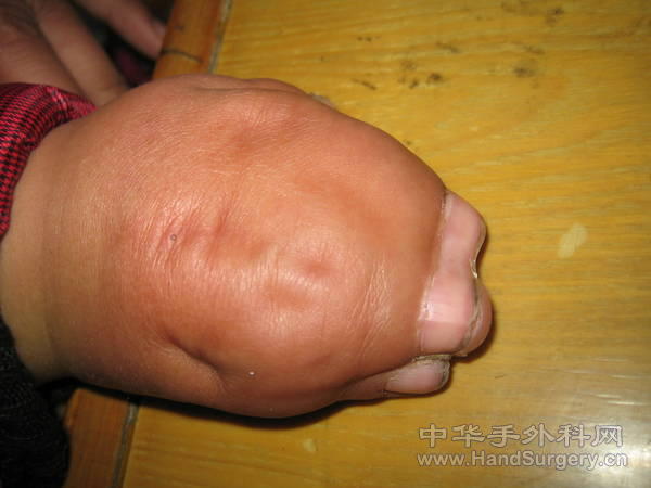 2011 121.jpg