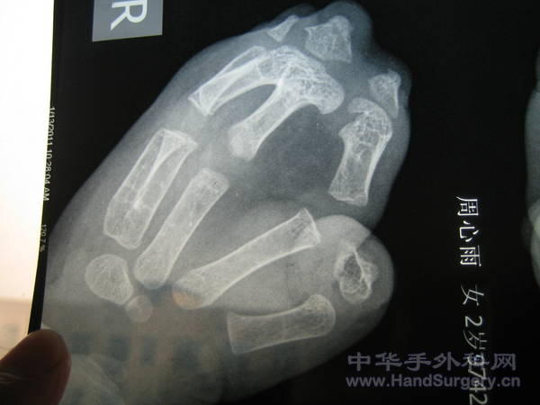 2011 132.jpg
