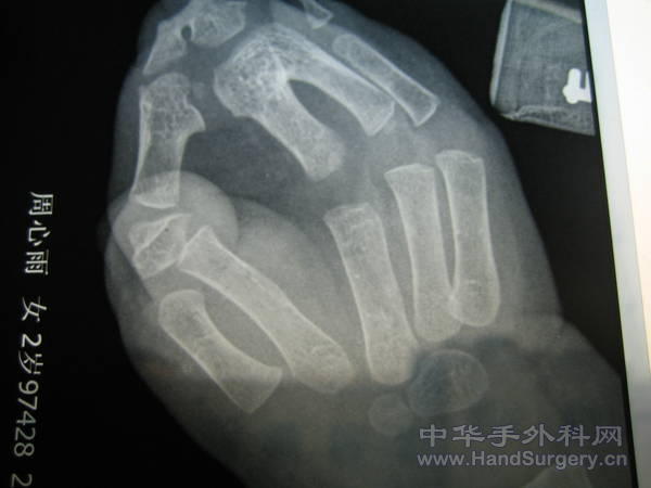 2011 133.jpg