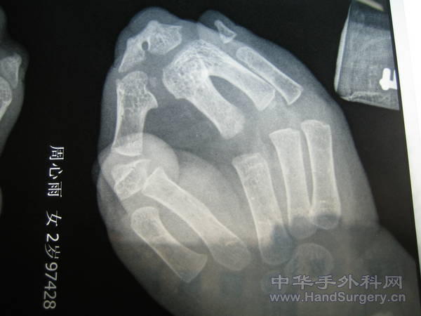 2011 134.jpg