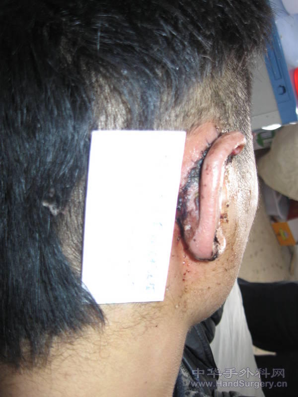 照片 595.jpg