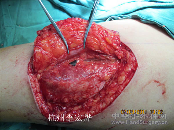 照片 833_副本.jpg