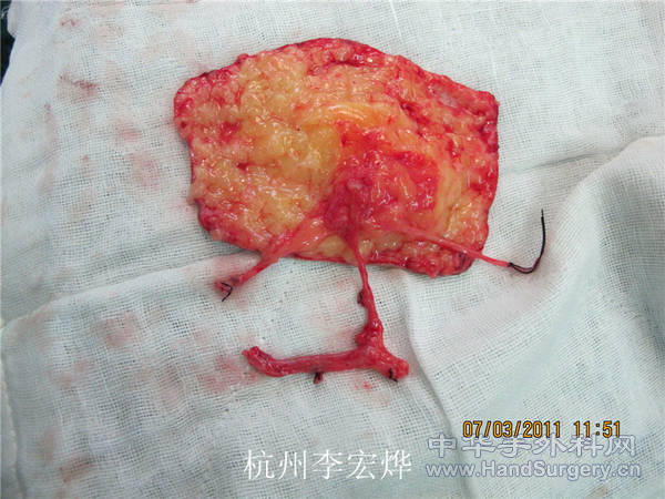 照片 847_副本.jpg