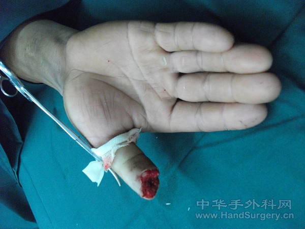 照片 038.jpg