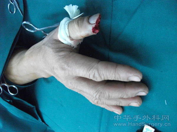 照片 039.jpg