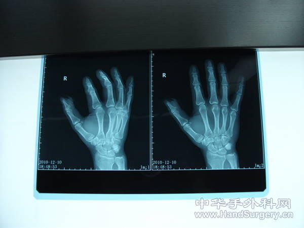照片 040.jpg