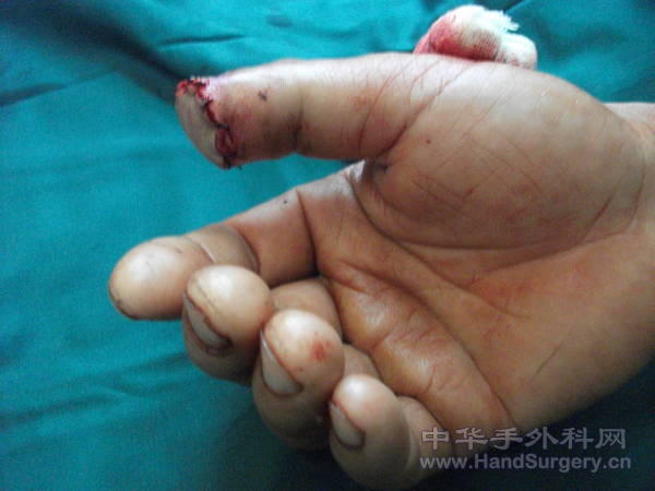 照片 061.jpg