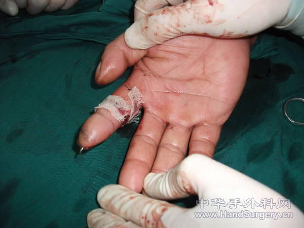 照片 102.jpg