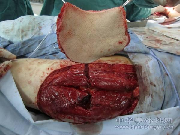 图片6.jpg