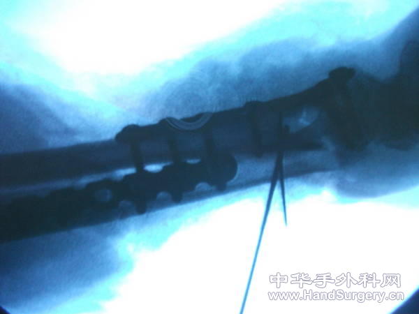 照片 068.jpg