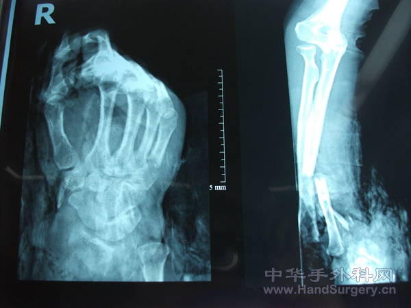 照片 060.jpg