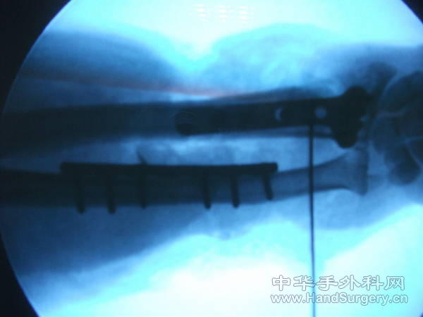 照片 066.jpg